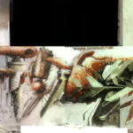 collage6 - Meeting of Styles: International Street Art & Graffiti