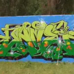 CIMG0077 - Meeting of Styles: International Street Art & Graffiti