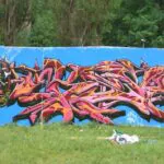 CIMG0078 - Meeting of Styles: International Street Art & Graffiti
