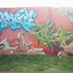 DSCI0066 - Meeting of Styles: International Street Art & Graffiti