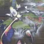 Fotoarchiv 422 - Meeting of Styles: International Street Art & Graffiti