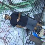 Fotoarchiv 548 - Meeting of Styles: International Street Art & Graffiti