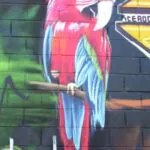 Bild 100 - Meeting of Styles: International Street Art & Graffiti