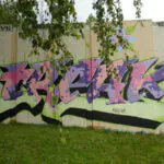 DSC01290 - Meeting of Styles: International Street Art & Graffiti