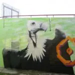 Letzter Import – 18 1 - Meeting of Styles: International Street Art & Graffiti
