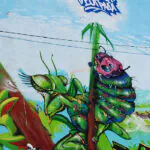 042 - Meeting of Styles: International Street Art & Graffiti