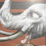 MG 3824 - Meeting of Styles: International Street Art & Graffiti