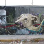 IMG 1707 - Meeting of Styles: International Street Art & Graffiti