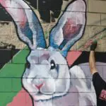 DSC 0111 2 - Meeting of Styles: International Street Art & Graffiti