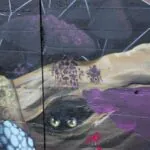 IMG 3217 - Meeting of Styles: International Street Art & Graffiti