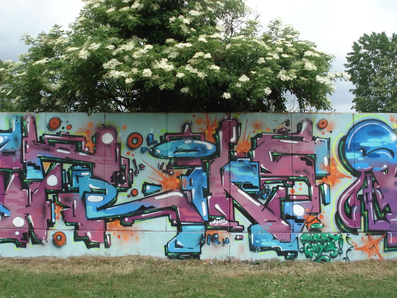 DSC03426 - Meeting of Styles: International Street Art & Graffiti