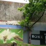 IAH155a - Meeting of Styles: International Street Art & Graffiti