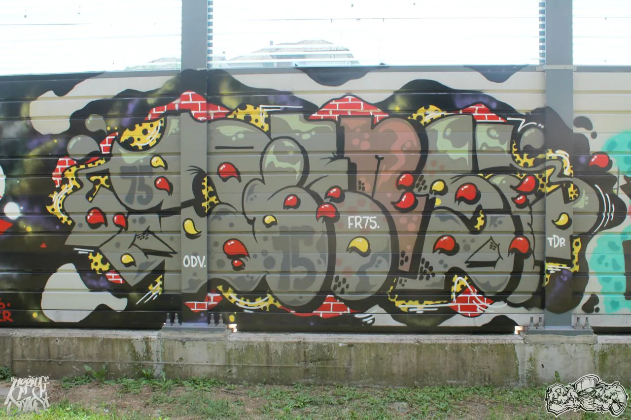 41 - Meeting of Styles: International Street Art & Graffiti