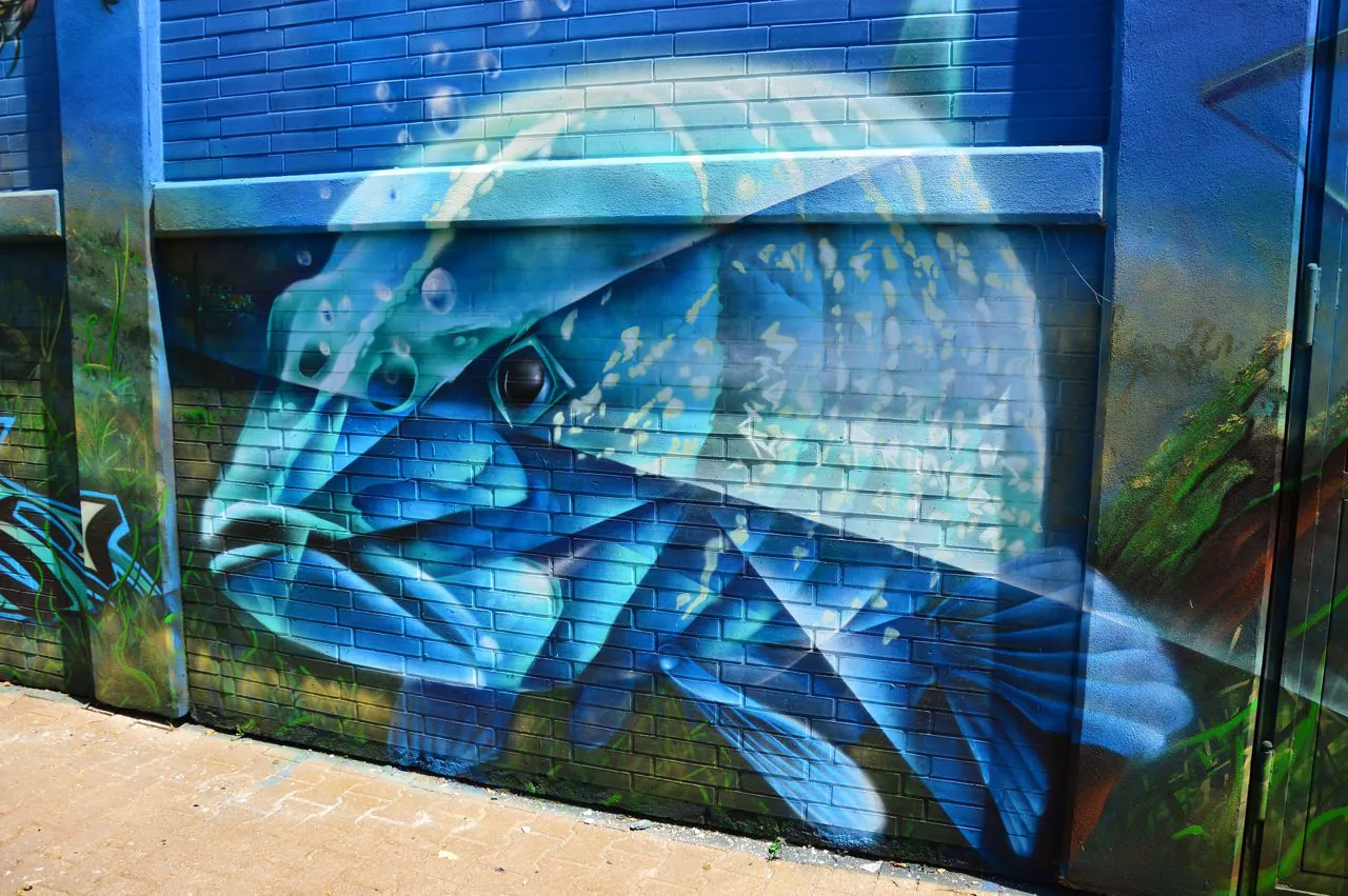 wsb5 - Meeting of Styles: International Street Art & Graffiti