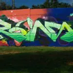 Roins - Meeting of Styles: International Street Art & Graffiti