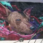 df 19 - Meeting of Styles: International Street Art & Graffiti