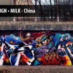 17362683 646335865558937 8793512796587105480 n - Meeting of Styles: International Street Art & Graffiti