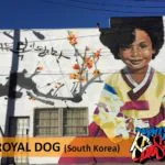17634575 953013271468524 8305300504854715833 n - Meeting of Styles: International Street Art & Graffiti