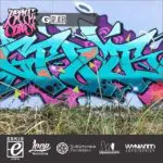 21148055 1938380346417928 3994310308150640640 n - Meeting of Styles: International Street Art & Graffiti