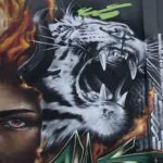 PEL18web 15 - Meeting of Styles: International Street Art & Graffiti