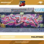 55770029 1665275753575602 3943372013199949824 o 1665275740242270 - Meeting of Styles: International Street Art & Graffiti