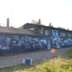 WSB19web-39