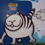 Fotoarchiv 174 - Meeting of Styles: International Street Art & Graffiti