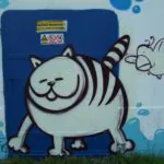 Fotoarchiv 44 - Meeting of Styles: International Street Art & Graffiti