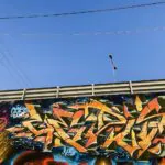 ALB21webpics 10 - Meeting of Styles: International Street Art & Graffiti