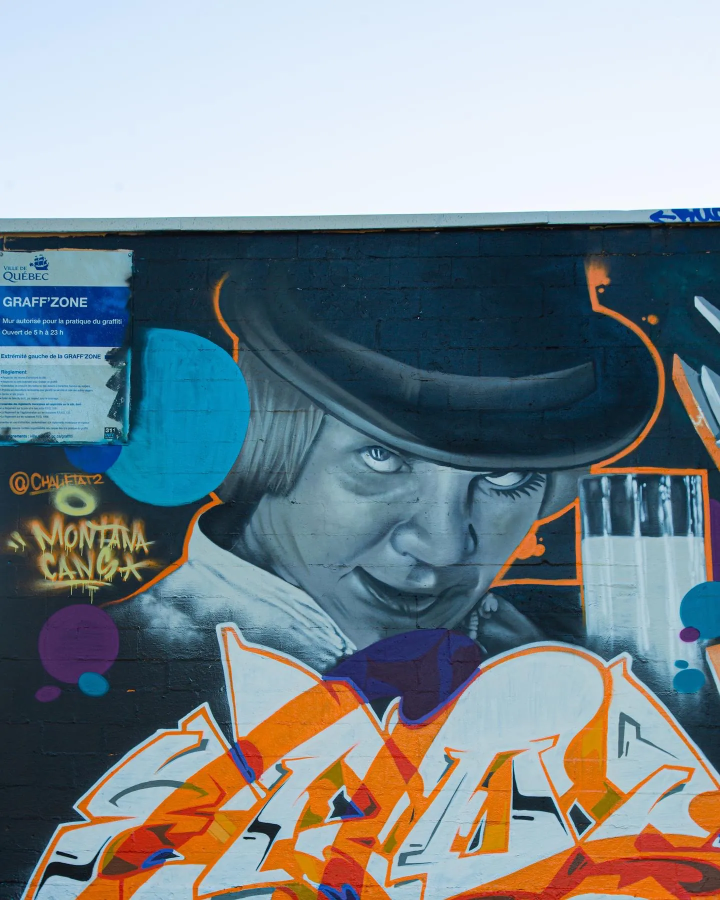 0FAD3DCE 1C79 45FB 8289 58280B452D33