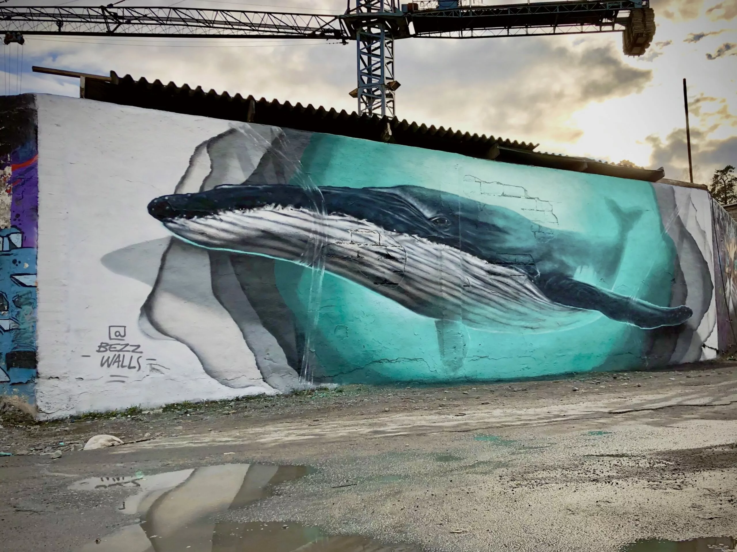 Bezz Walls
