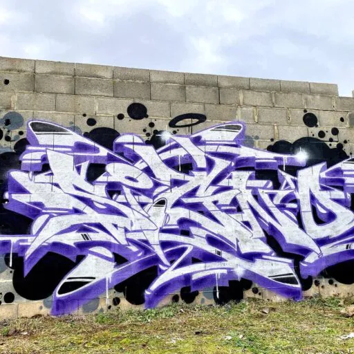 324556232 496219512595327 1504604217049216284 n - Meeting of Styles: International Street Art & Graffiti