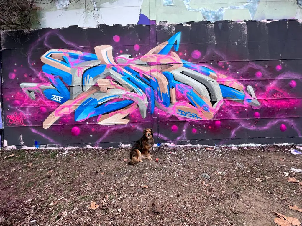 C6319D7D 75D4 4512 859E 33BD0B6CDEDA