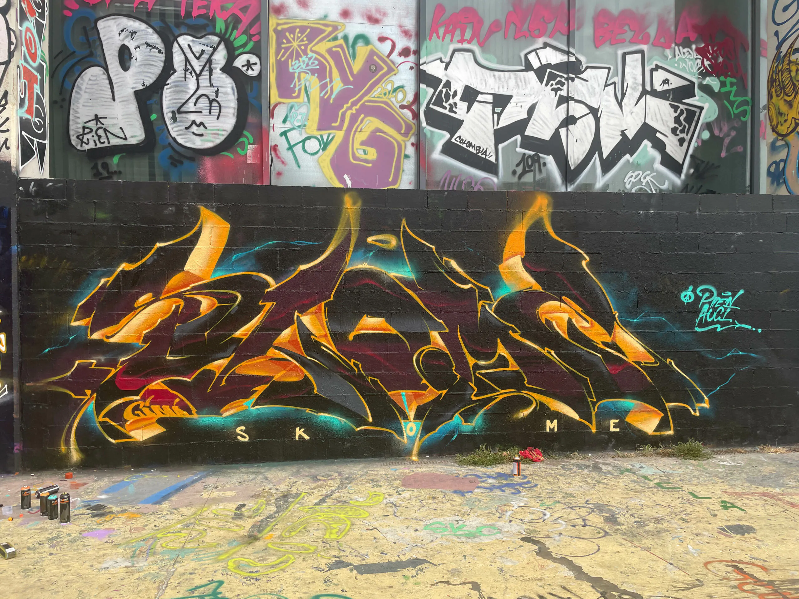 skem6950