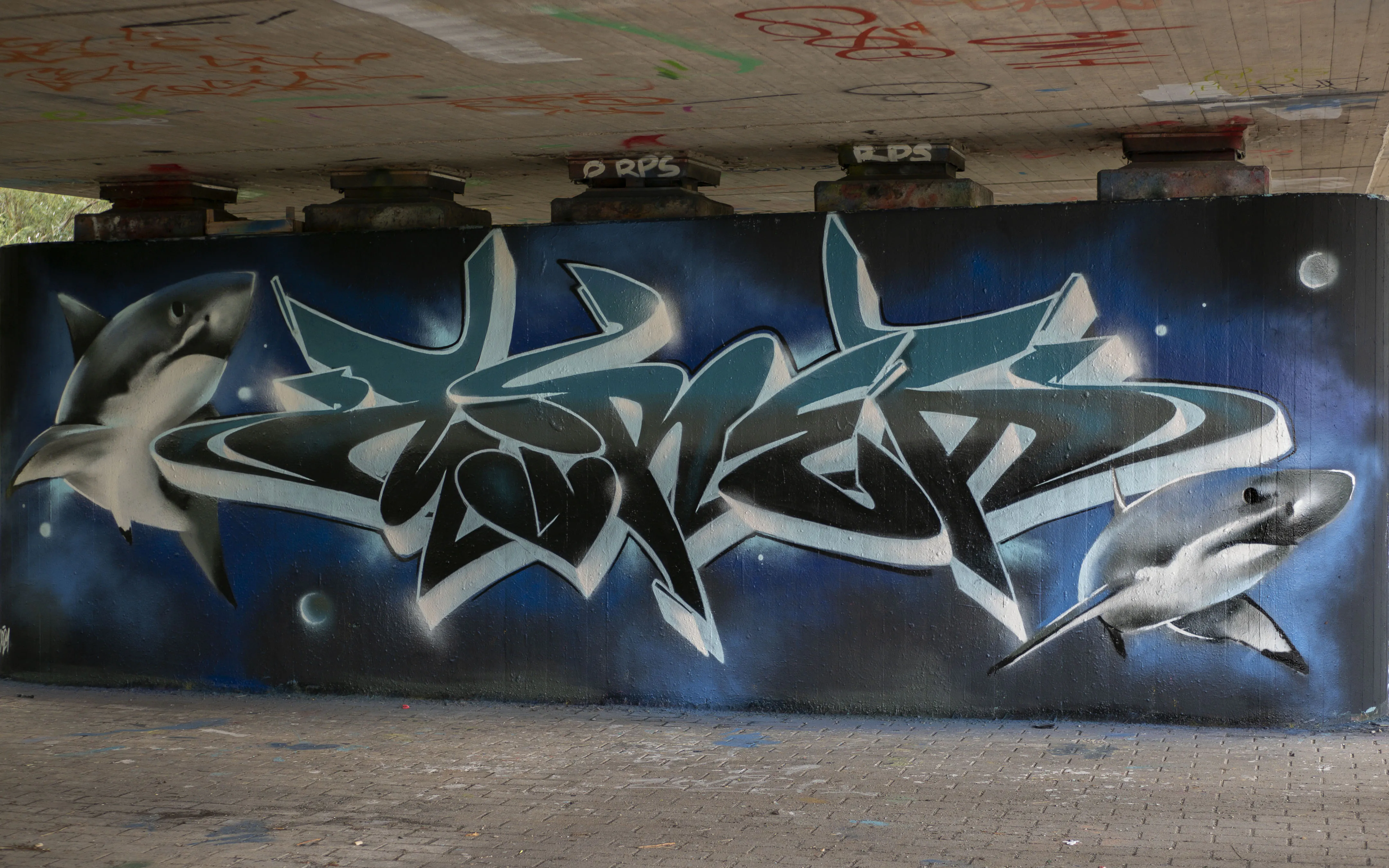 P1080029 haifische ins 2