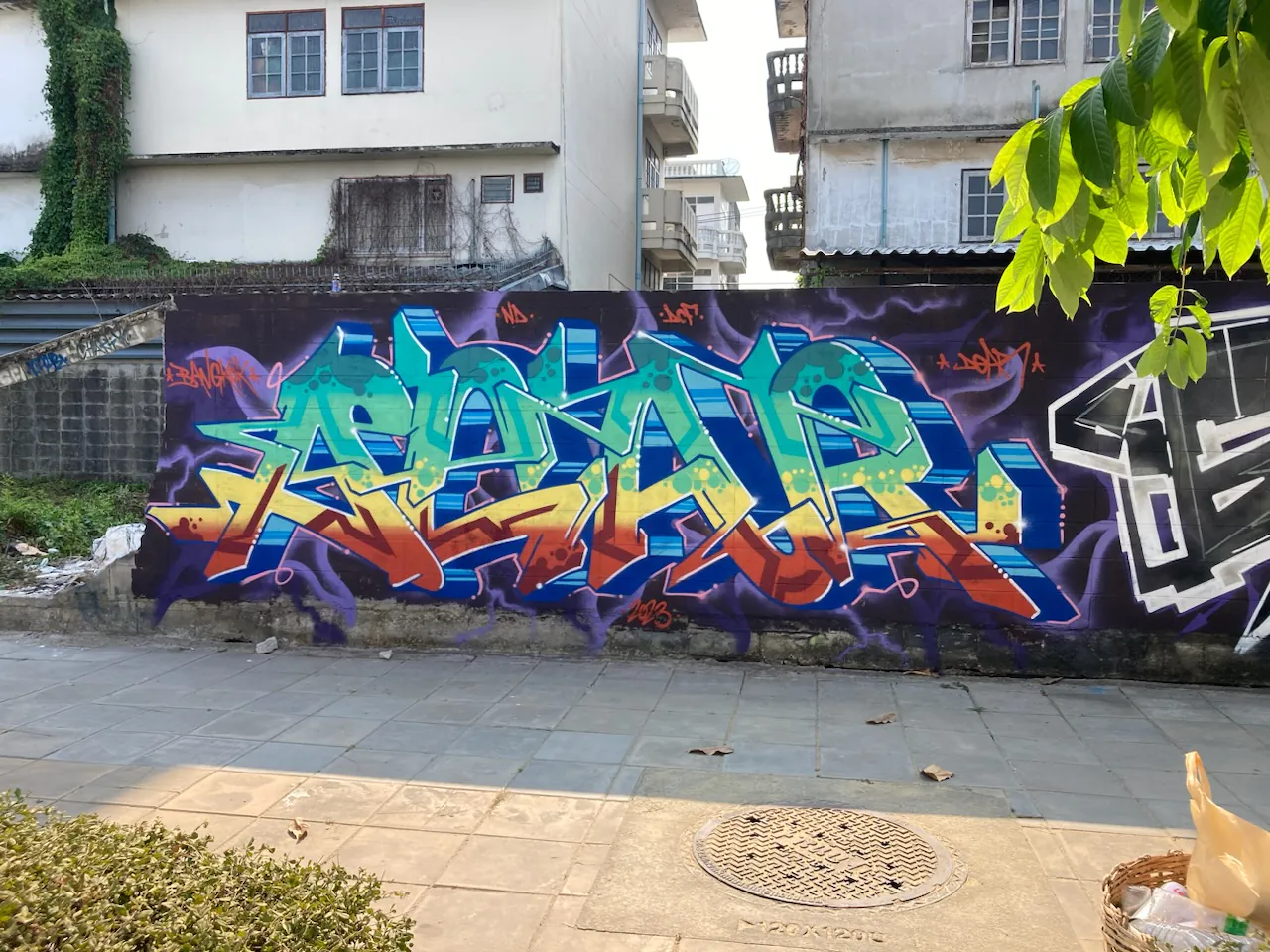 Dear