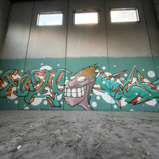 IMG 0529 - Meeting of Styles: International Street Art & Graffiti