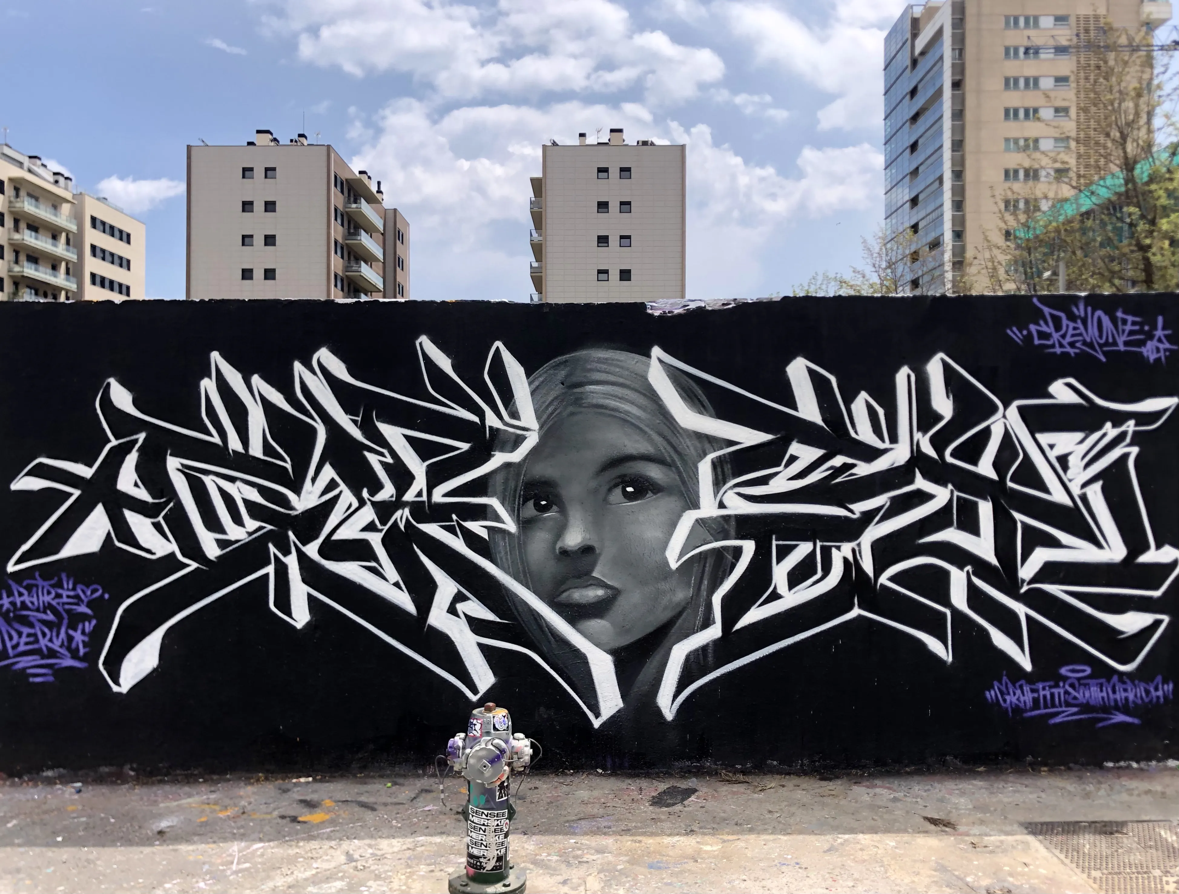 Creyone 2 - Meeting of Styles: International Street Art & Graffiti IMG 1709