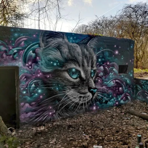 Screenshot 20221212 152954 com.android.gallery3d edit 895778771822166 - Meeting of Styles: International Street Art & Graffiti