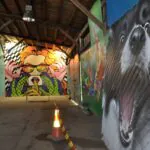 VAA23 webpic 27 - Meeting of Styles: International Street Art & Graffiti