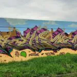 WSB23 webpics 2 - Meeting of Styles: International Street Art & Graffiti