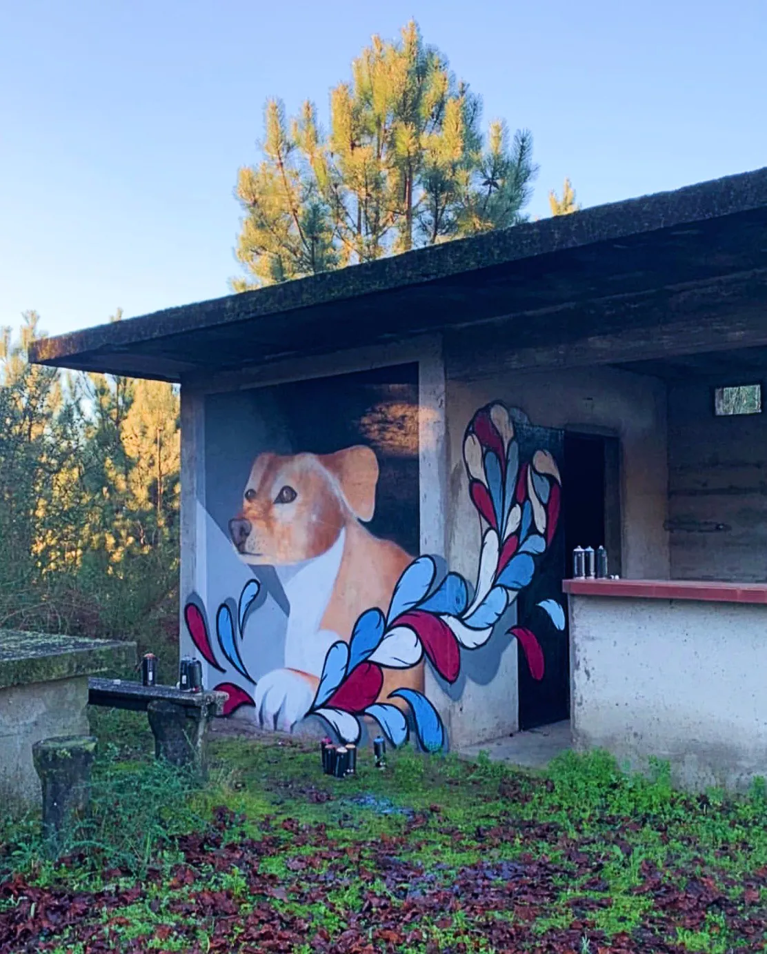 graffiti 1