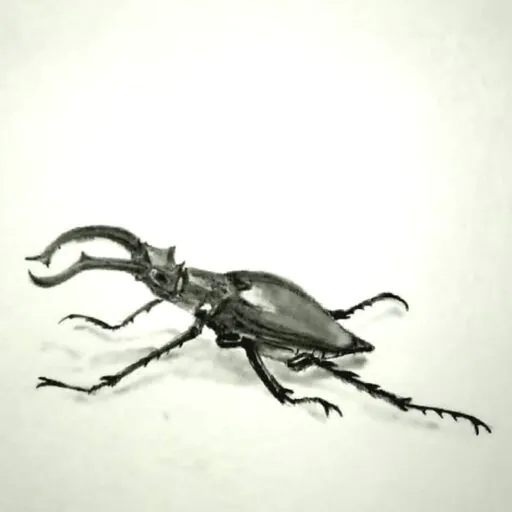 Screenshot 20221222 010817 Instagram - Meeting of Styles: International Street Art & Graffiti