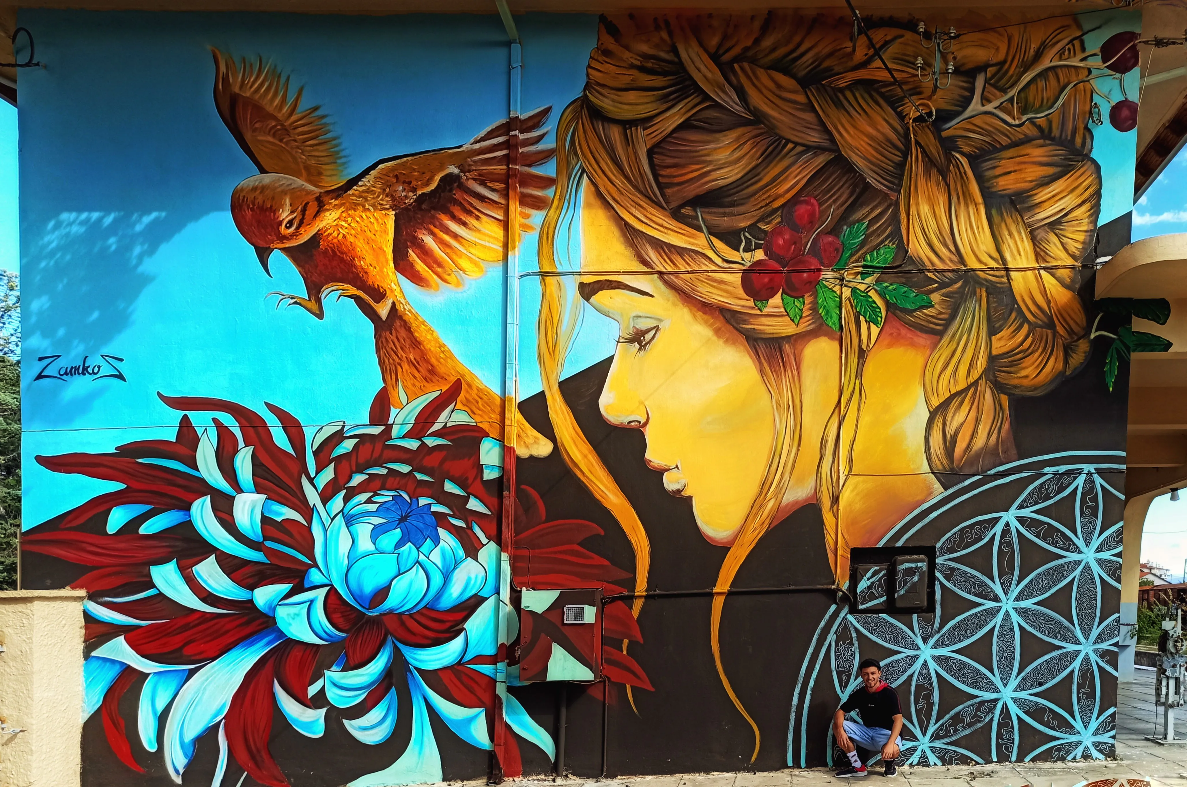 Life's Donation Life's Donation