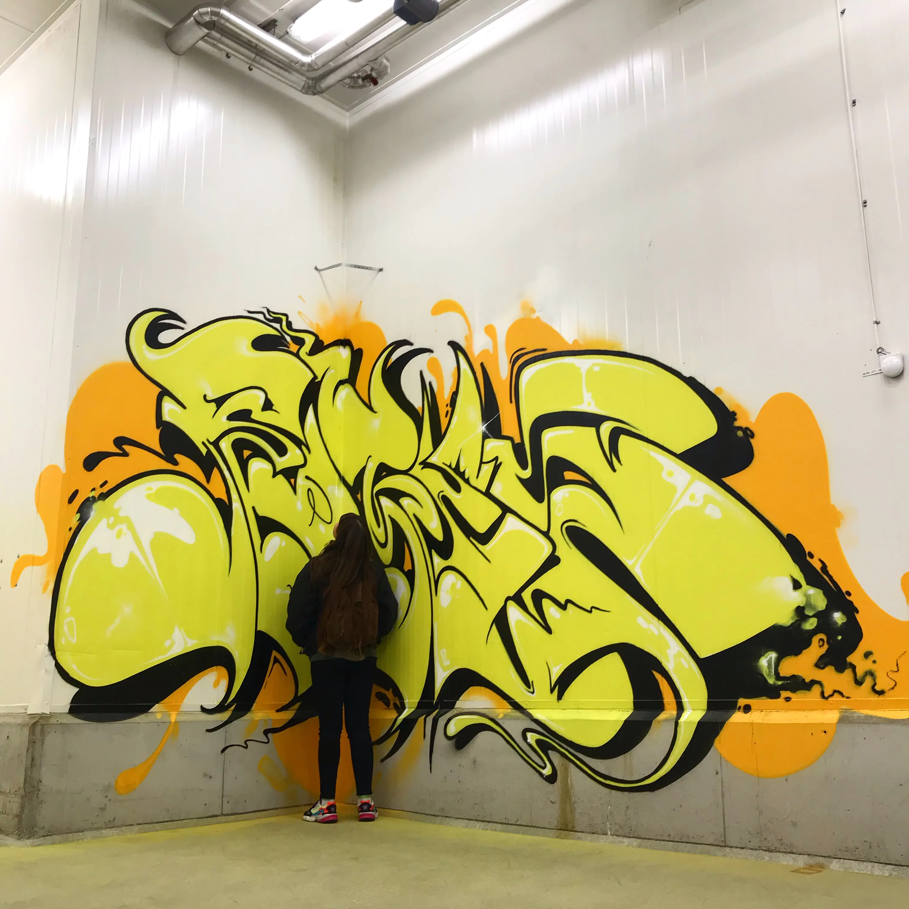 4127E7B1 AE1A 4C72 8845 27EE7D6706D8 1