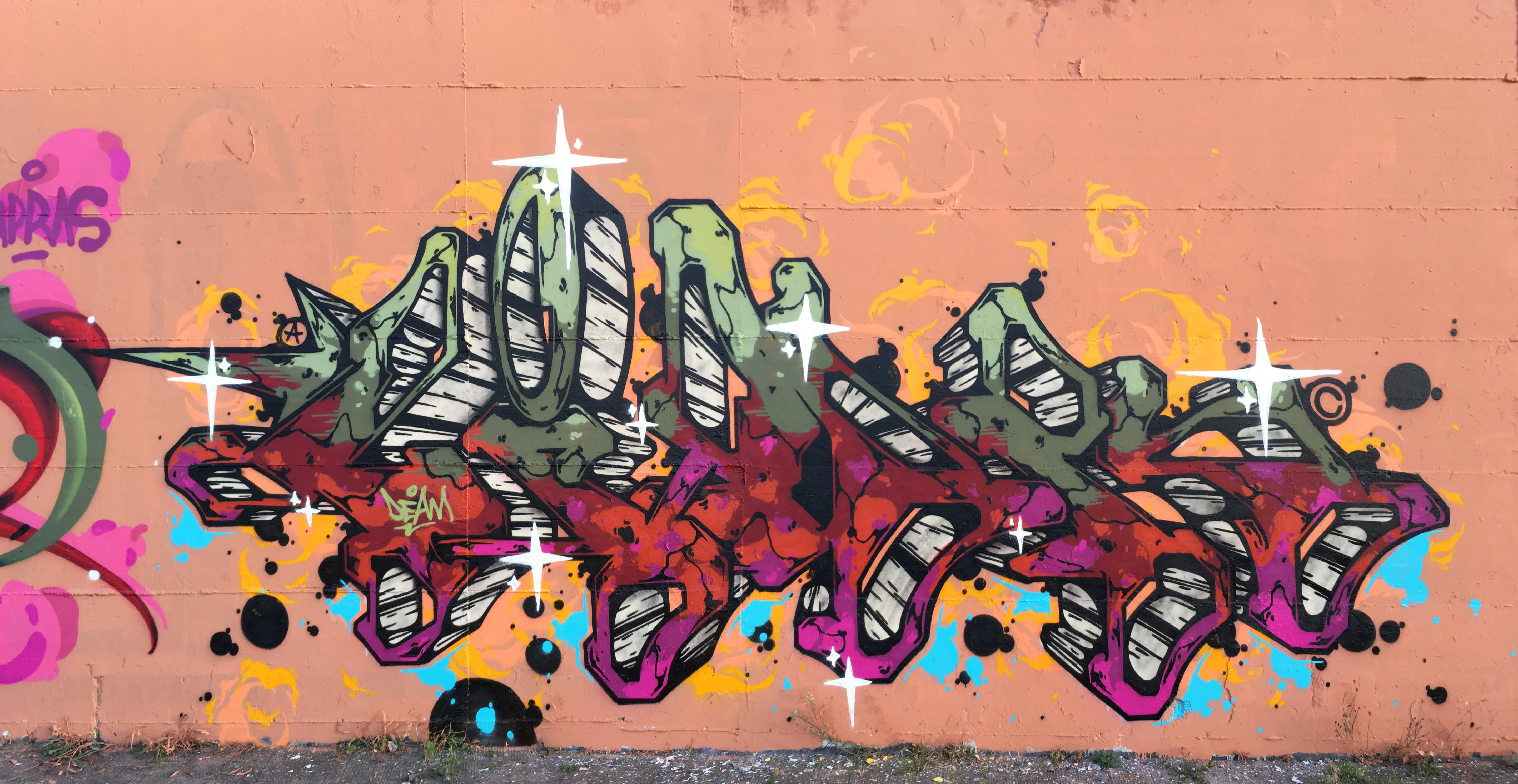 Lion N1