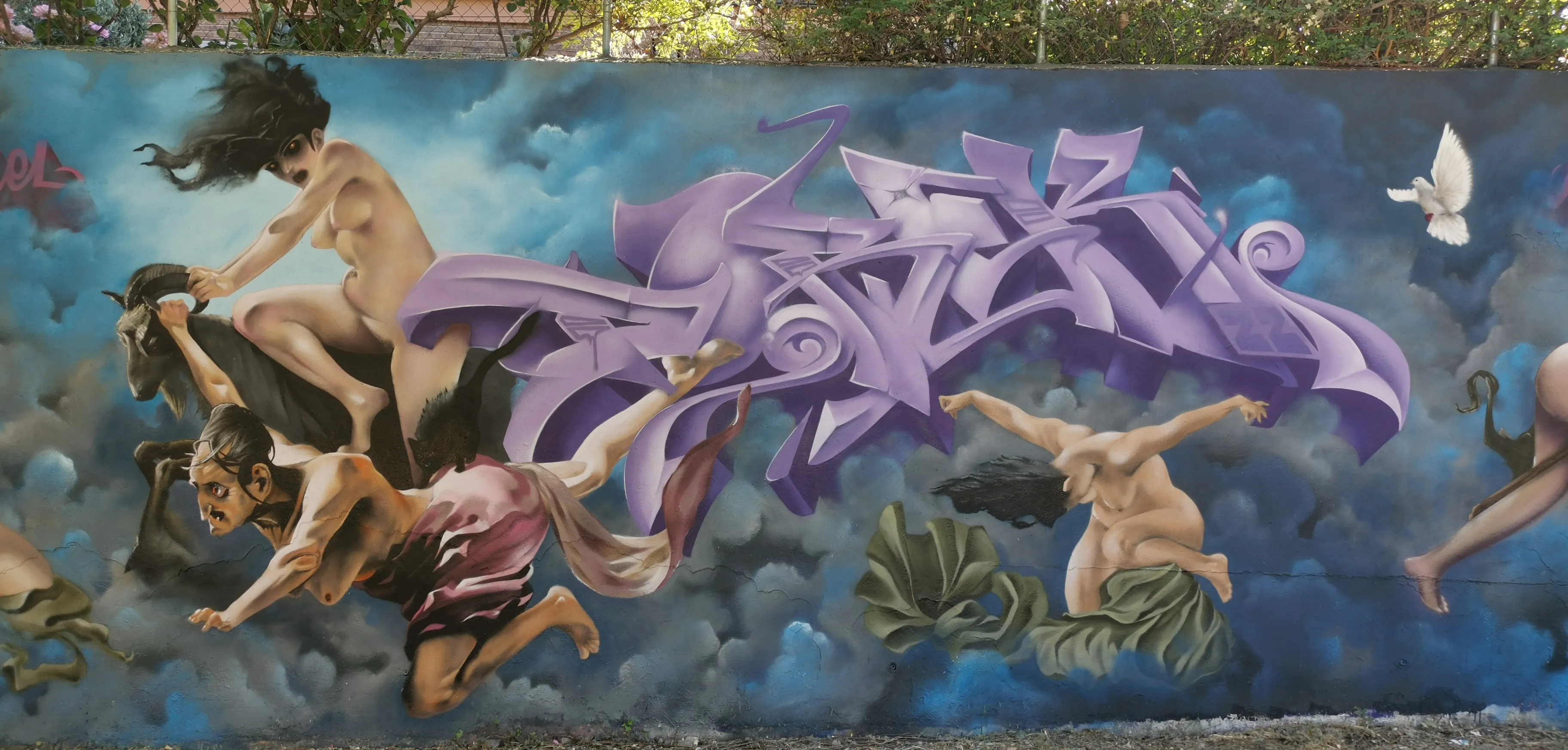 inbound4635078418942467504