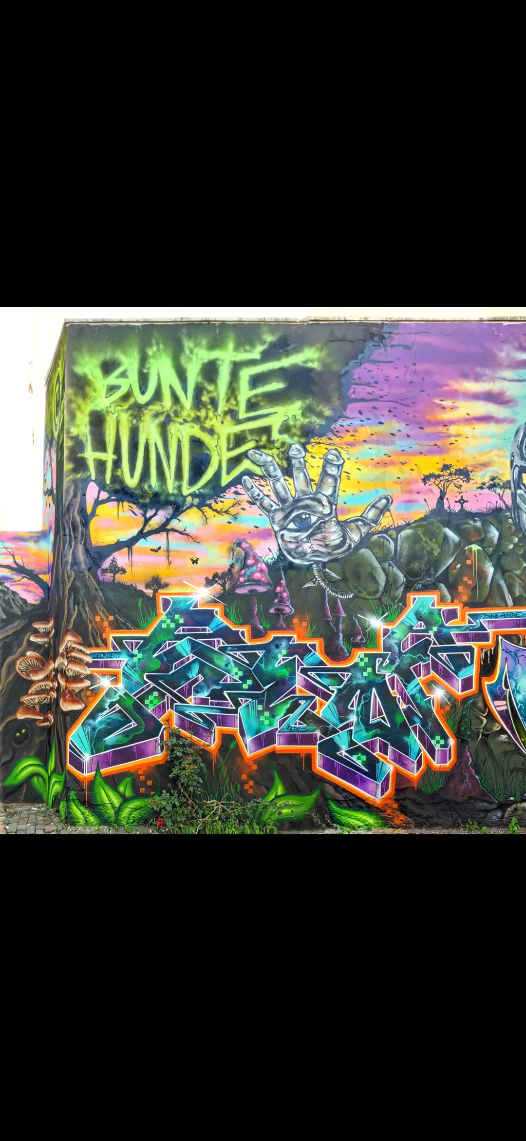 Screenshot 20230816 210152 com.android.gallery3d