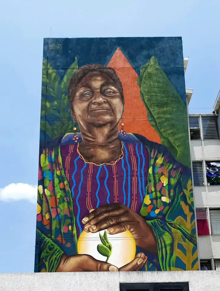 Seeds of life Seeds of life