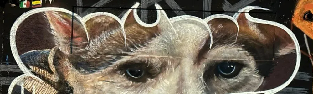 User banner image